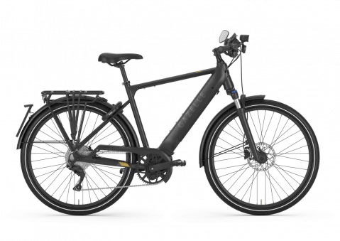 Gazelle Medeo Speed HMB 1 Gazelle Medeo Speed HMB