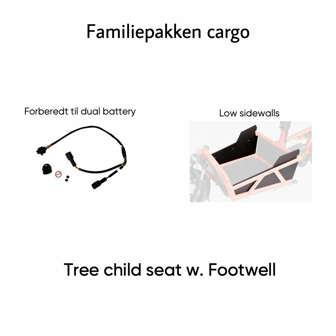 Urban Arrow Flatbed XL Cargo Line 3 Urban Arrow Flatbed XL Cargo Line - Billede 3