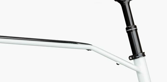 Riese & Müller Homage GT Rohloff 3 Riese & Müller Homage GT Rohloff - Billede 3