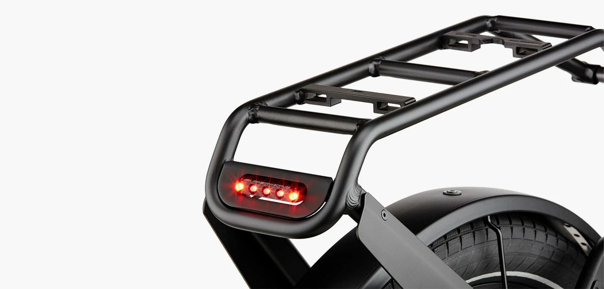 Riese & Müller Delite GT Rohloff HS 7 Riese & Müller Delite GT Rohloff HS - Billede 7