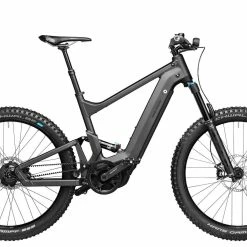 Riese & Müller Delite Mountain Rohloff