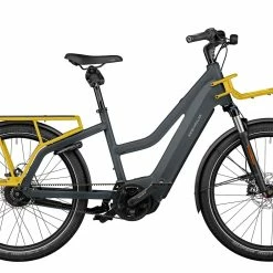 Riese & Müller Multicharger Mixte GT Vario HS