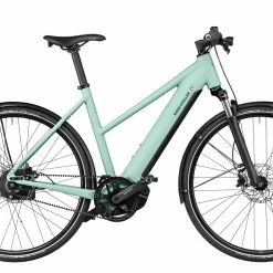 Riese & Müller Roadster Mixte Vario