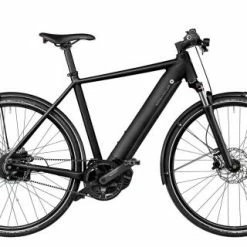 Riese & Müller Roadster Vario